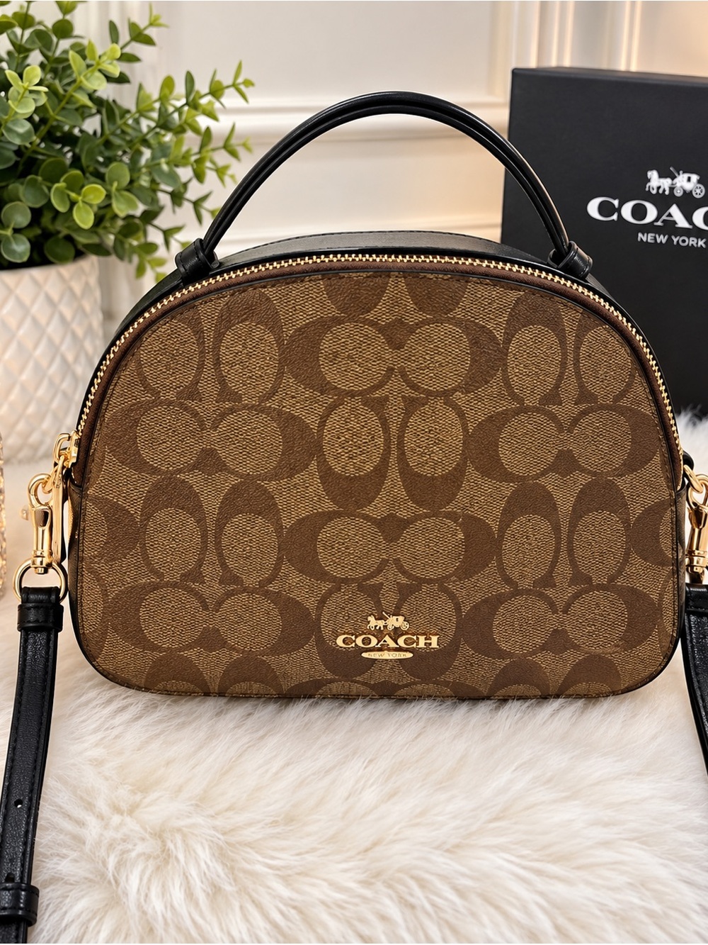 Coach Signature Small Dome Crossbody Bag Serena satchel